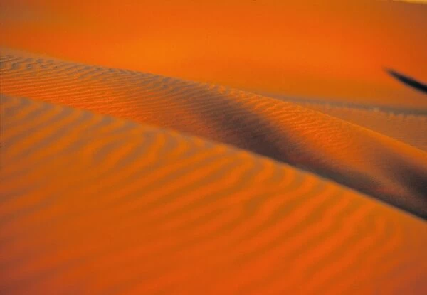 Sand Dune, Sossusvlei