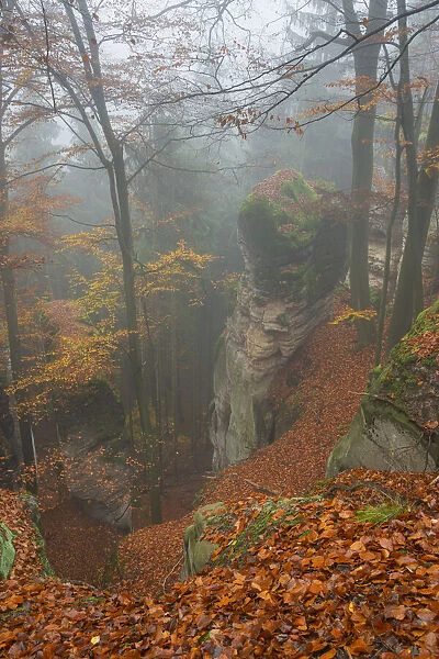 Sandstone rock formations rising from a gorge inside a forest in autumn, Hruba Skala