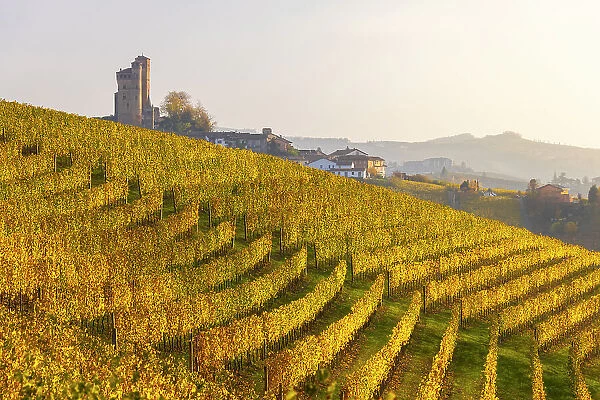 Serralunga D‚AoAlba and its castle with vineyards at sunset during autumn, Cuneo, Langhe and Roero, Piedmont, Italy