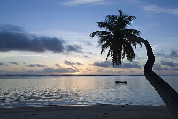 Seychelles, Mahe Island, horizontal palm, Fairyland Beach, dawn