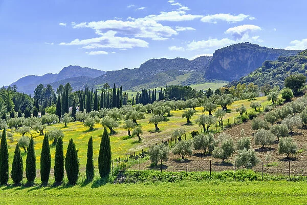 Sierra de Grazalema mountain range. Andalucia, Spain