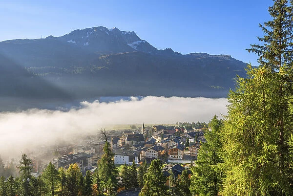 Silvaplana with Piz Corvatsch in morning fog, Bernina mountain range, Upper Engadin, Grisons (Graubunden), Switzerland