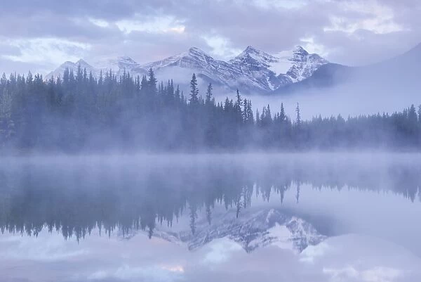 Snow capped mountains reflect in a misty Herbert Lake, Canadian Rockies, Banff National Park