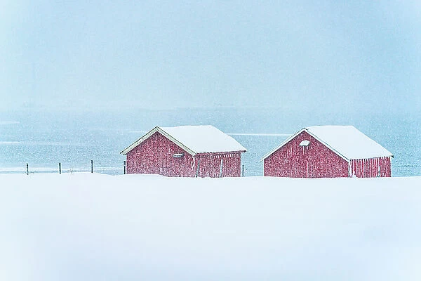 Snow storm over traditional red cabins by the frozen sea, Troms county, Norway