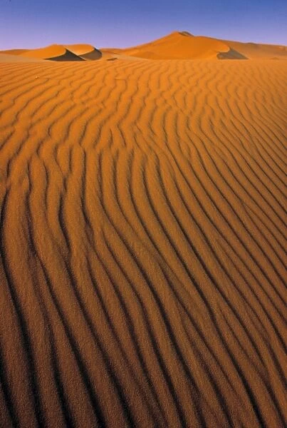 Sossusvlei Dune