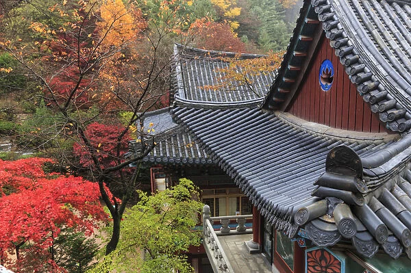 South Korea, Chungcheongbuk-do, Danyang, Sobaeksan National Park, Guin-sa temple complex