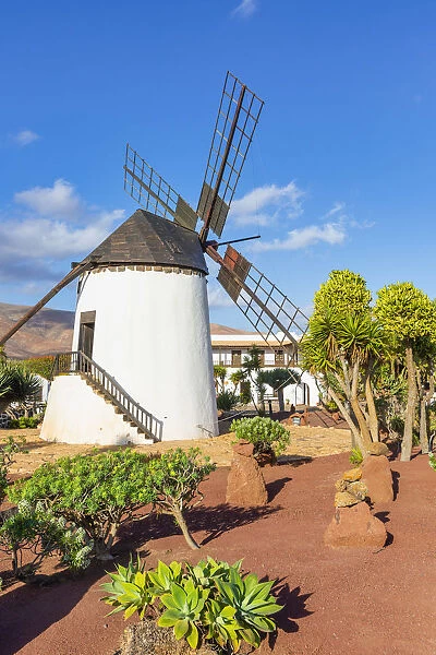 Spain, Canary Islands, Fuerteventura, Antigua, Molino de Antigua, traditional windmill