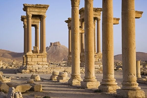 The spectacular ruined city of Palmyra, Syria