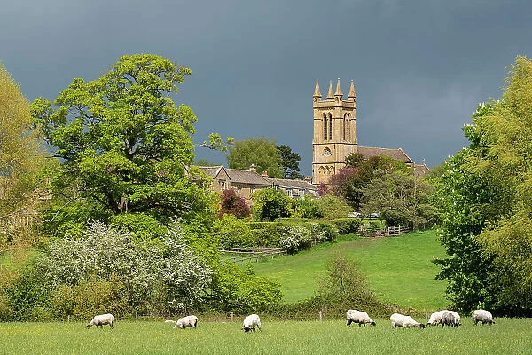 St Michael and All Angels Church across a meadow in the Cotswolds village of Broadway, Worcestershire, England. Spring (May) 2021