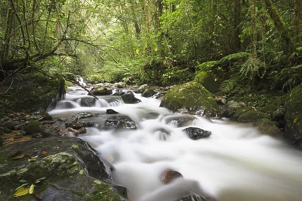Stream in Kinabalu National Park, Sabah, Malaysia