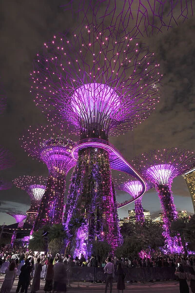 Supertrees, Gardens by the Bay, Singapur City, Singapore City, Singapore