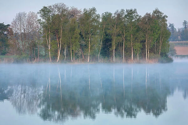 Switzerland, Canton of Thurgau, lake, reflection, morning fog
