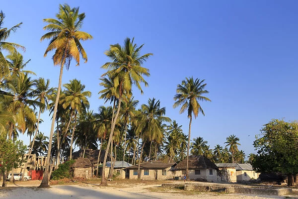 Tanzania. Zanzibar, Jambiani, Jambani Village