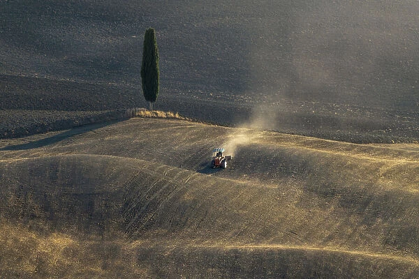 A tractor crossing the immense fields near the Podere Terrapille near Pienza, Tuscany, Italy at sunset, with a lonely cypress tree