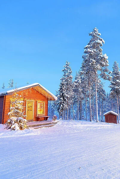Traditional wood chalet with christmas lights in the snowy landscape, Kangos, Pajala municipality, Norrbotten county, Lapland, Sweden