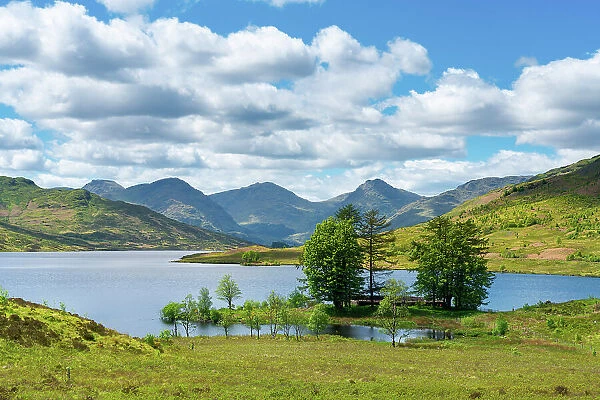 Trees on shore of Loch Arklet with mountains in background, Loch Lomond and The Trossachs National Park, Trossachs, Stirling, Scotland, UK
