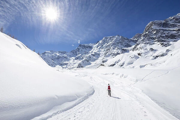 A trekker with snowshoes walking on the winter track on Belvedere Glacier at the foot of