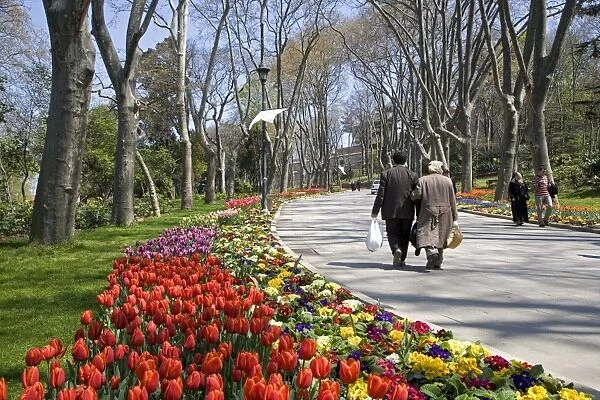 Tulips bloom in Gulhane Park, Istanbul