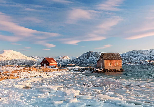 Typical norvegian fishing red house on the shore of the fiord in Sommaroy, troms, tromso, Norway