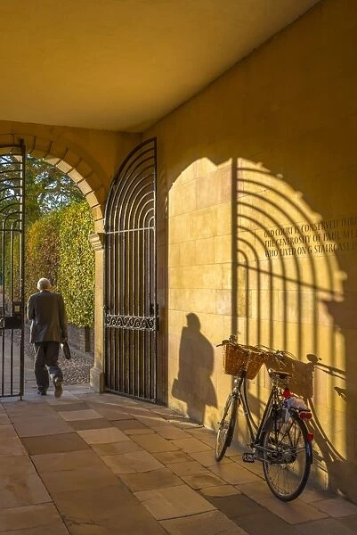 UK, England, Cambridgeshire, Cambridge, Clare College, Gate