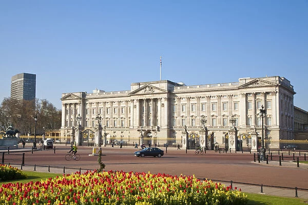 United Kingdom, London, Westminster, Tulips infront of Buckingham Palace