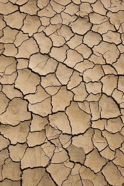 USA, California, Bombay Beach, Salton Sea area, dried lake bed