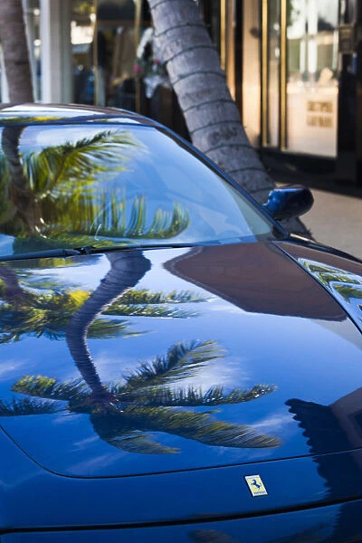 USA, Florida, Palm Beach, Worth Avenue, palm tree reflected in Ferrari sportscar