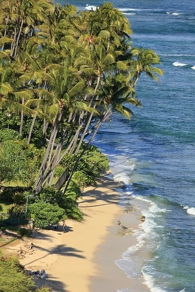 USA, Hawaii, Oahu, Honolulu, Kahala Beach