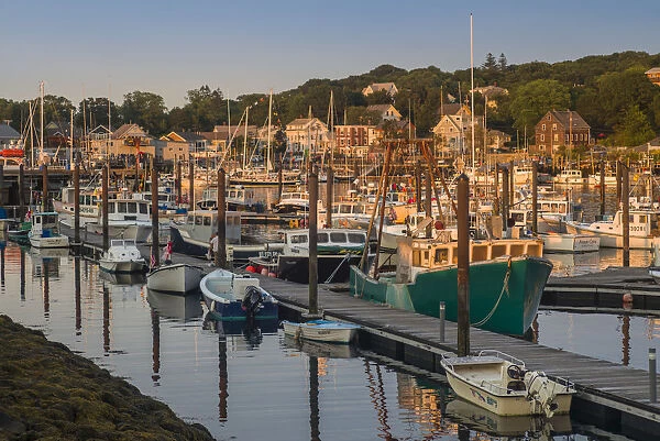 USA, Massachusetts, Cape Ann, Gloucester, Inner Harbor, fishing boats, sunset