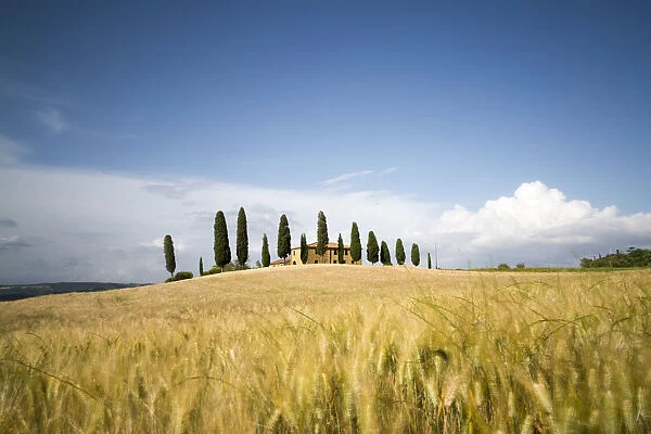 Val d Orcia, Tuscany, Italy. A lonely farmhouse with cypress trees standing in