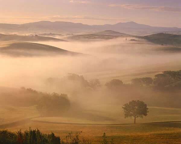 Valley in Morning Mist, San Quirico, Tuscany, Italy