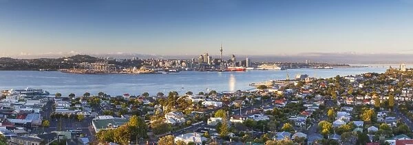 View of Devonport and Auckland skyline at dawn, Auckland, North Island, New Zealand