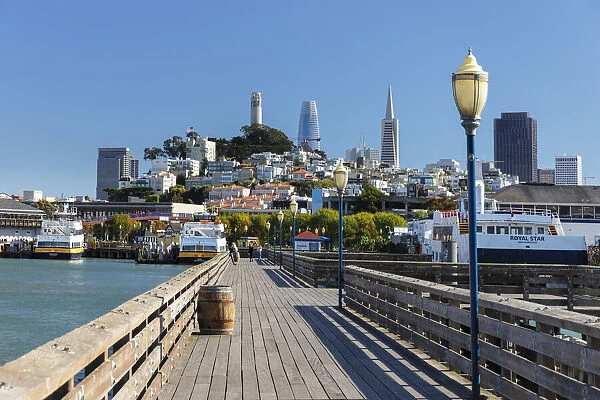 View from Pier 39 to Telegraph Hill and finance district, San Francisco, California, USA