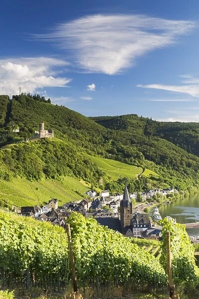 View of vineyards and River Moselle, Bernkastel-Kues, Rhineland-Palatinate, Germany