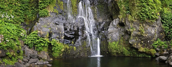 A waterfall at Faja Grande. Poco do Bacalhau. Flores, Azores islands, Portugal