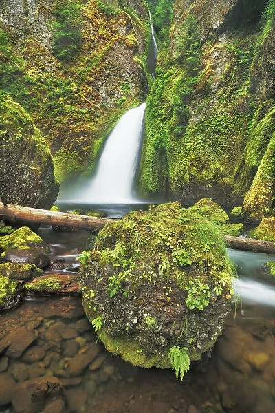 Waterfall Wahclella Falls in Pacific rainforest - USA, Oregon, Multnomah, Tanner Creek