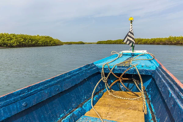 Westafrica, Senegal, Sine-Saloum-Delta. Excursion with a fishing boat