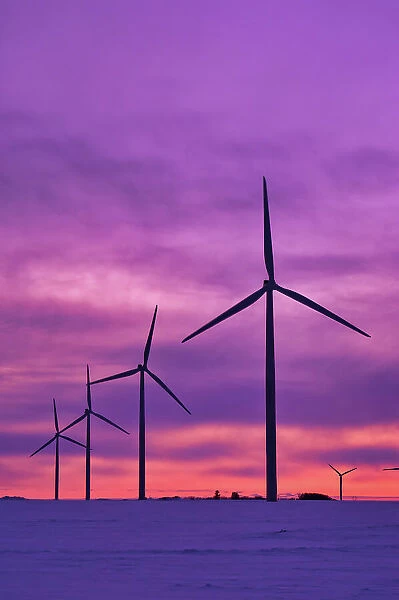 Wind turbines at sunset Somerset, Manitoba, Canada