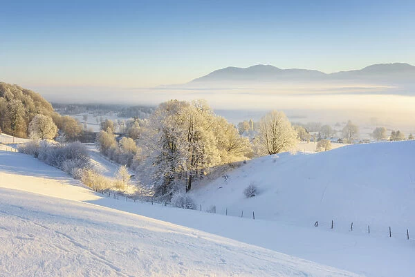 Winter morning at Kochelmoos, Upper Bavaria, Alps, Isarwinkel, Upper Bavaria, Bavaria