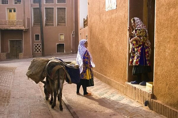 Woman and her donkey, Abyaneh near Kashan, Isfahan province, Iran