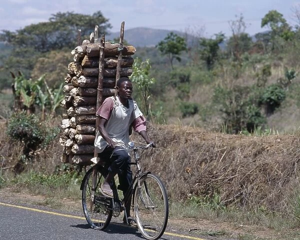 Wood sellers carry heavy loads of wood on their bicycles