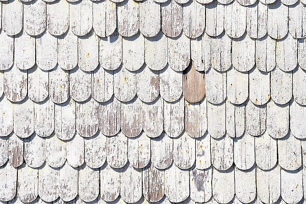 Detail of wooden roofing tile on house, Achao, Quinchao Island, Chiloe Province, Los Lagos Region, Chile