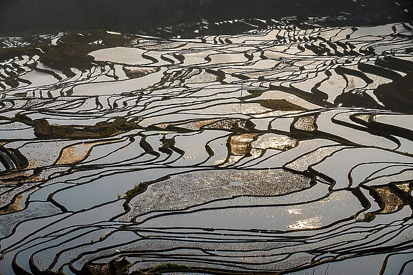 Yuangyang Rice Terraces at Duoyishu, China