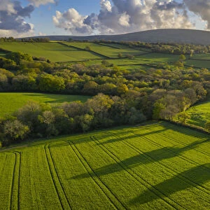 Aerial photo of rolling countryside in evening light, Livaton, Devon, England