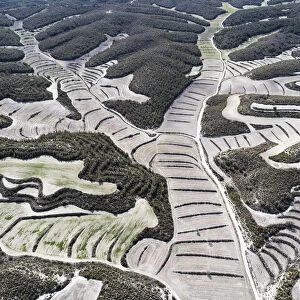 Aerial view of drylands farming. Castejon de Monegros, Huesca, Aragon, Spain