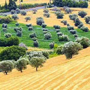 Ancient farmland in the cultivated fields of Cologna Paese, Abruzzo, Italy