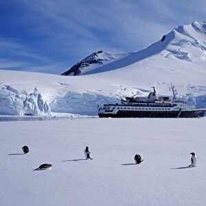 Antarctica, Antarctic Peninsula, Port Lockroy