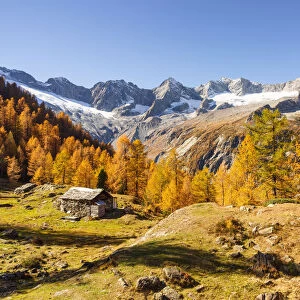 Autumn at Alpe Sentieri, Mount Disgrazia Group, Chiareggio, Valmalenco, Province of