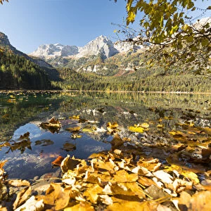 an autumnal view of the Tovel Lake (Lago di Tovel) with the Brenta Group in the background