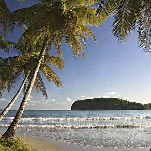 Beach, La Sagesse Estate, Grenada, Caribbean